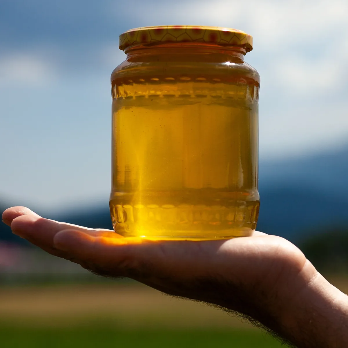 Hand holding a jar of honey